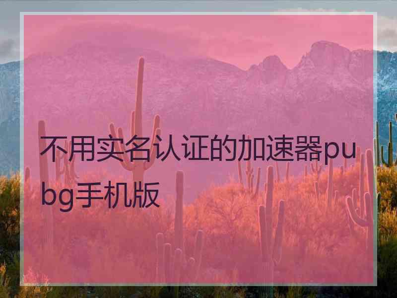 不用实名认证的加速器pubg手机版