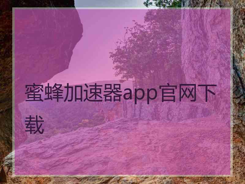 蜜蜂加速器app官网下载