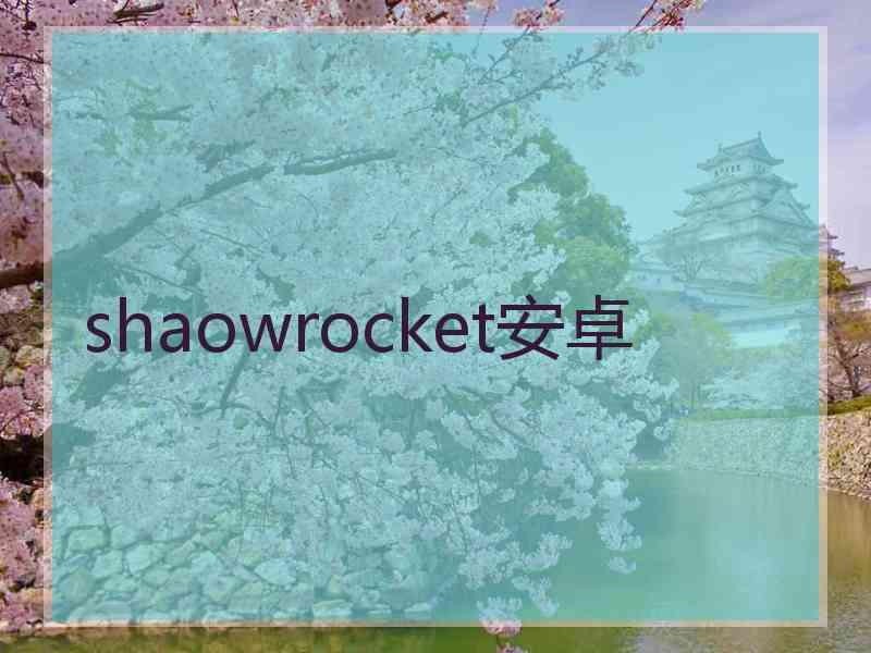 shaowrocket安卓