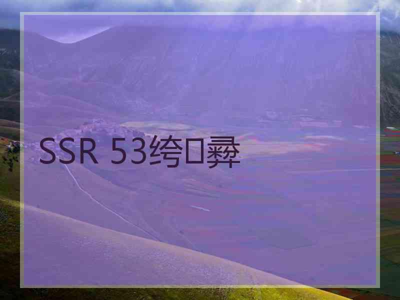 SSR 53绔彛