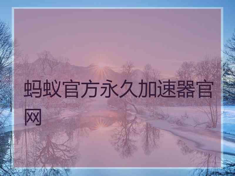 蚂蚁官方永久加速器官网