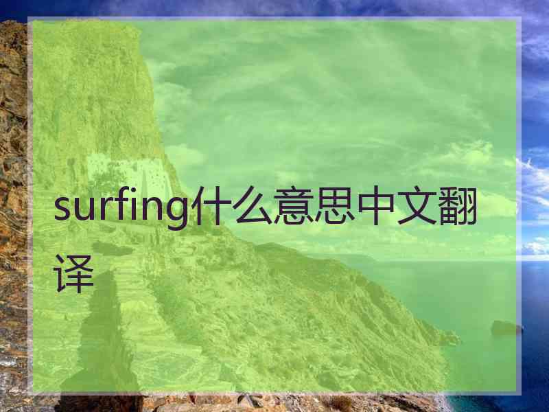 surfing什么意思中文翻译