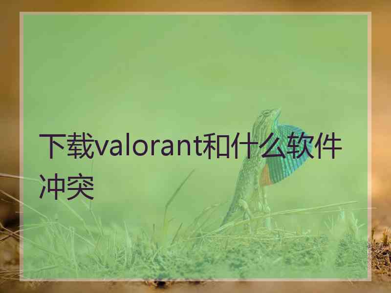 下载valorant和什么软件冲突