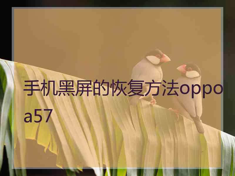 手机黑屏的恢复方法oppoa57