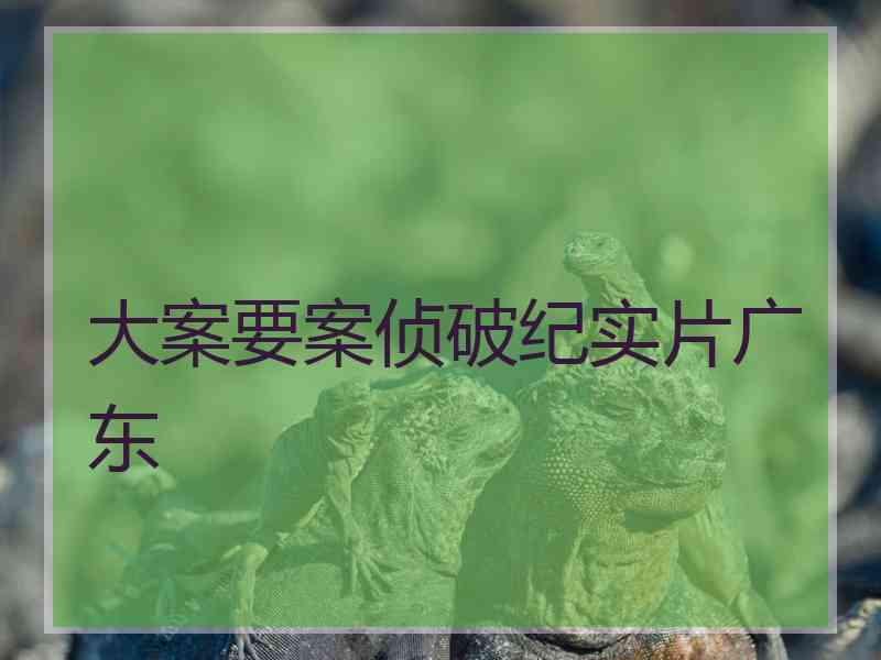 大案要案侦破纪实片广东