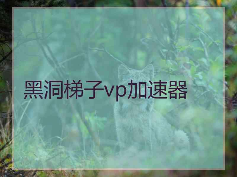 黑洞梯子vp加速器