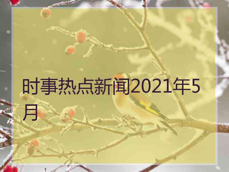 时事热点新闻2021年5月