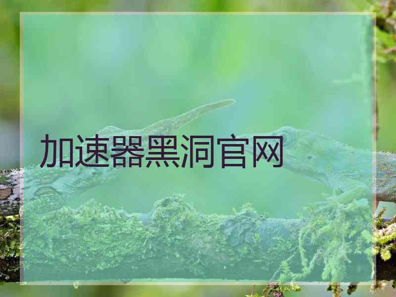 加速器黑洞官网