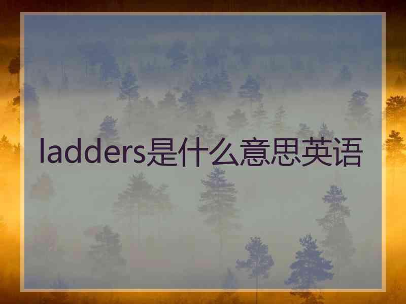 ladders是什么意思英语