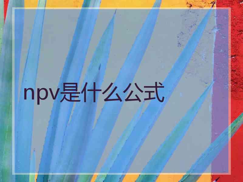 npv是什么公式