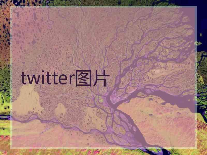 twitter图片