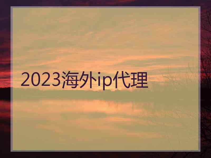 2023海外ip代理