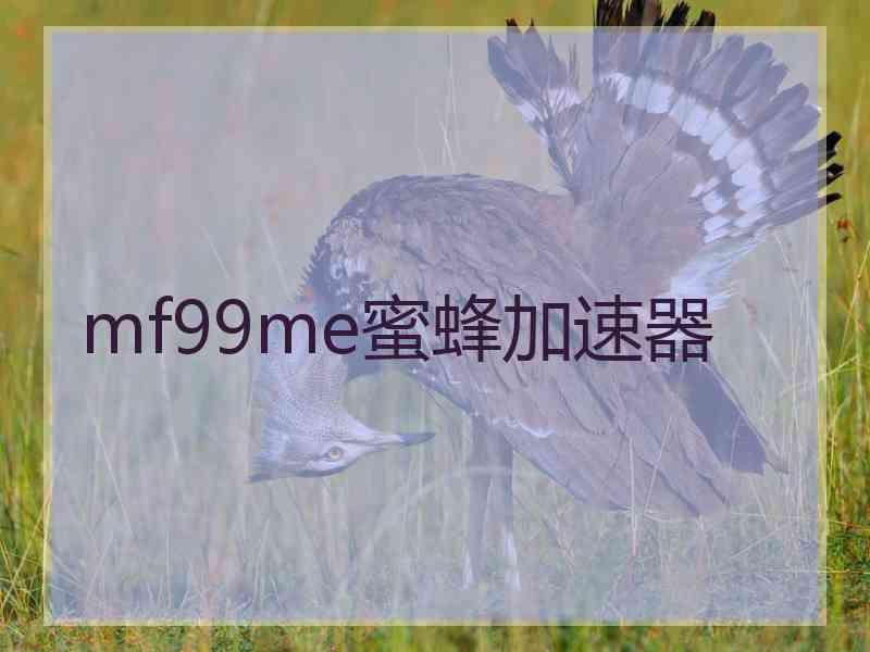 mf99me蜜蜂加速器