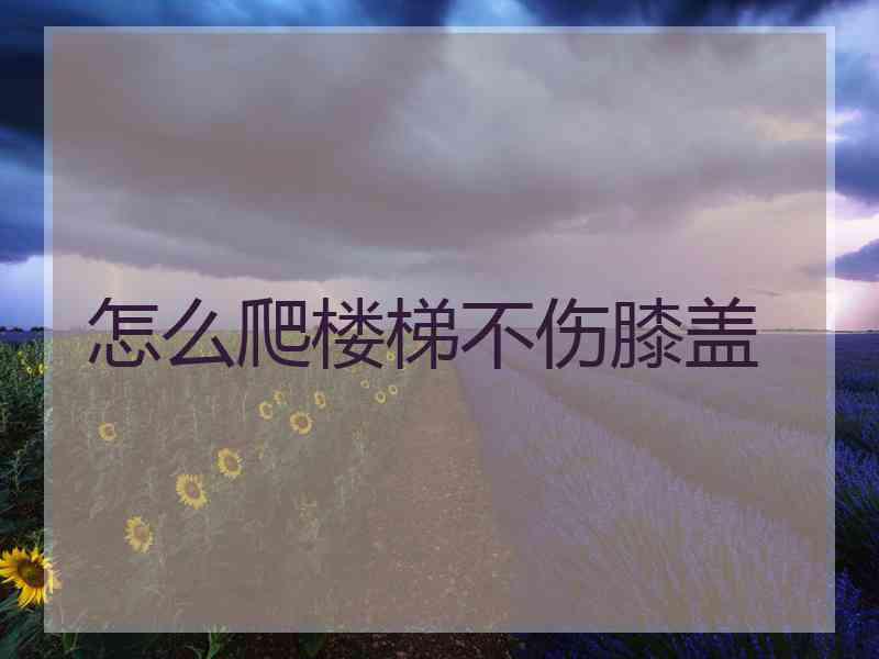 怎么爬楼梯不伤膝盖