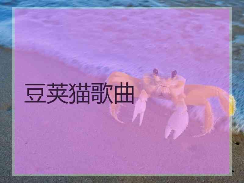 豆荚猫歌曲