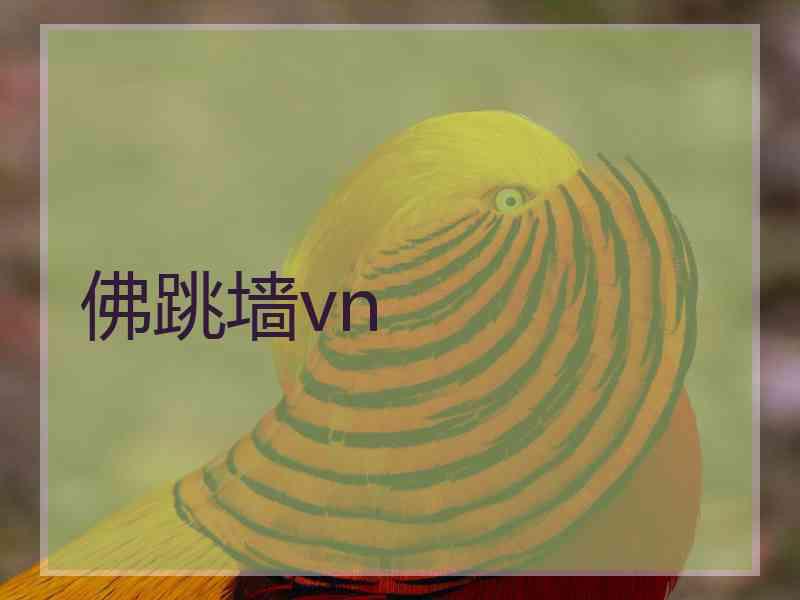 佛跳墙vn