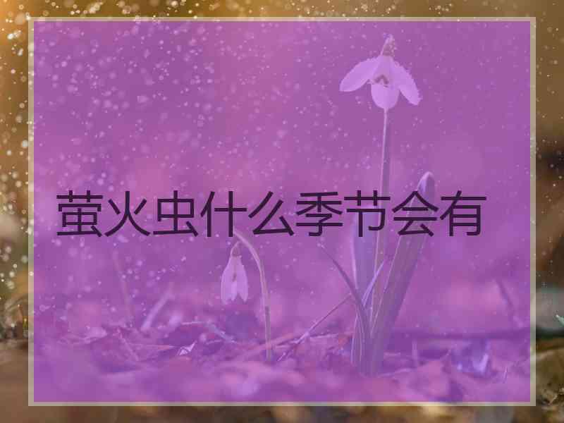 萤火虫什么季节会有