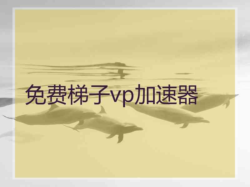 免费梯子vp加速器