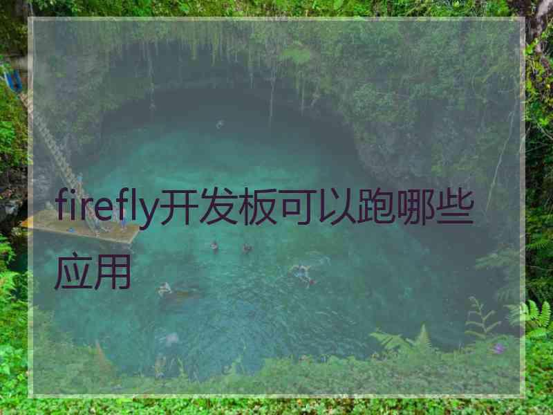 firefly开发板可以跑哪些应用