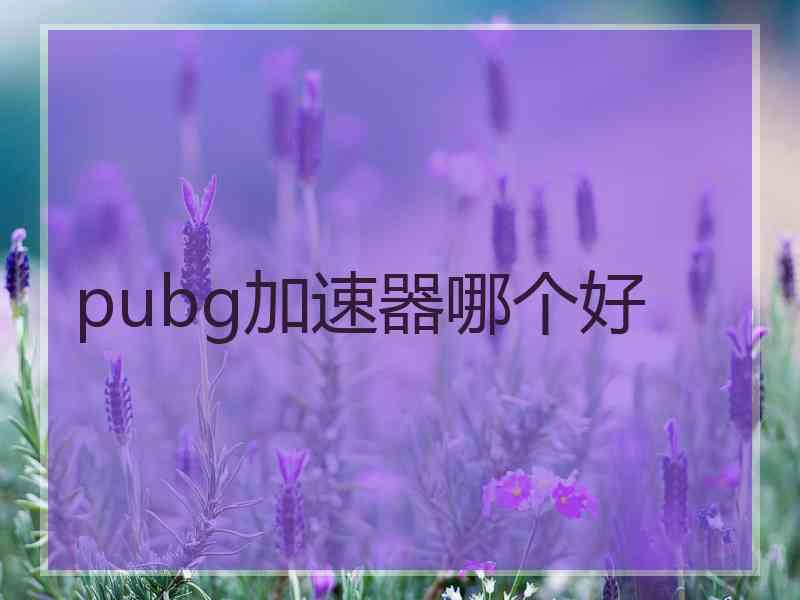 pubg加速器哪个好