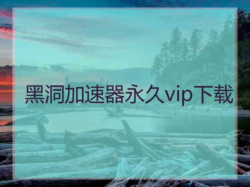 黑洞加速器永久vip下载