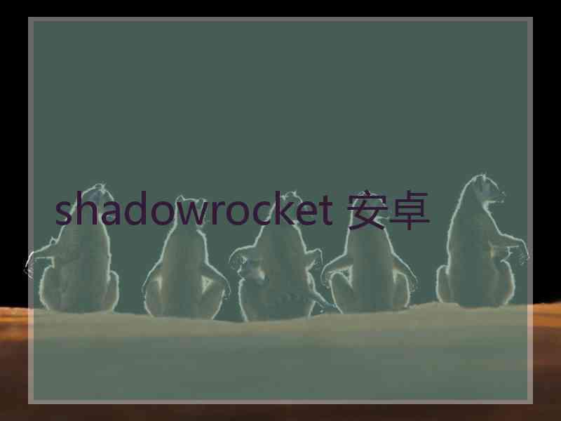 shadowrocket 安卓