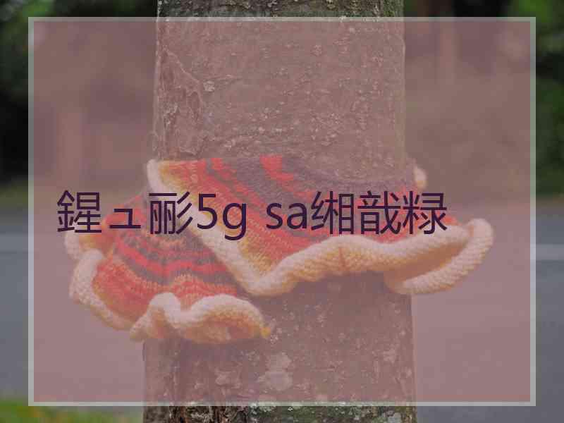 鍟ュ彨5g sa缃戠粶