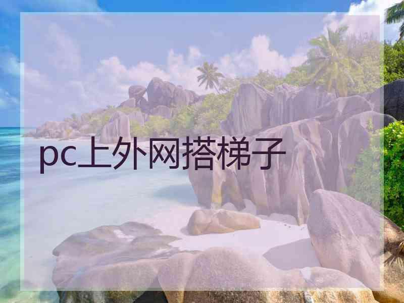 pc上外网搭梯子