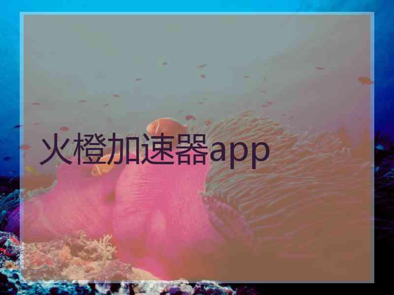 火橙加速器app