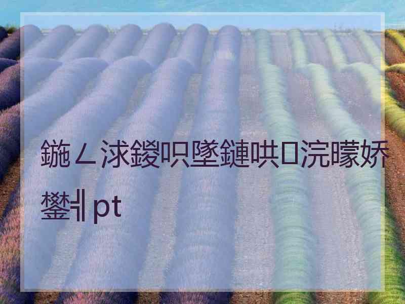 鍦ㄥ浗鍐呮墜鏈哄浣曚娇鐢╣pt