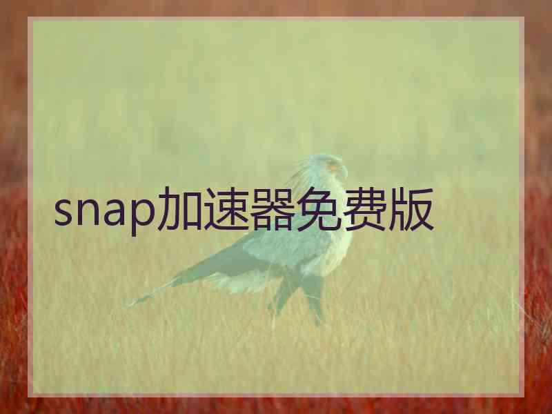 snap加速器免费版