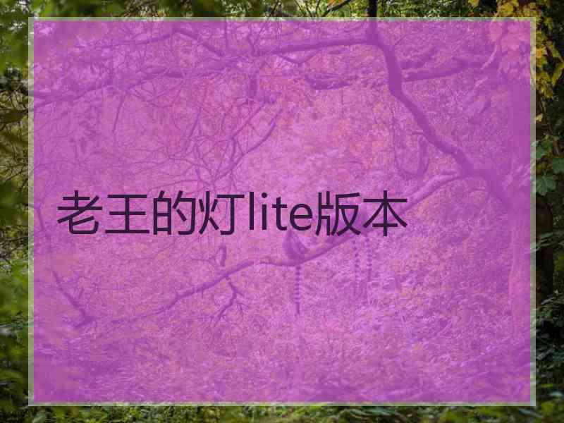 老王的灯lite版本