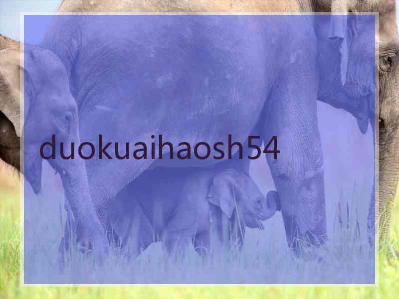 duokuaihaosh54