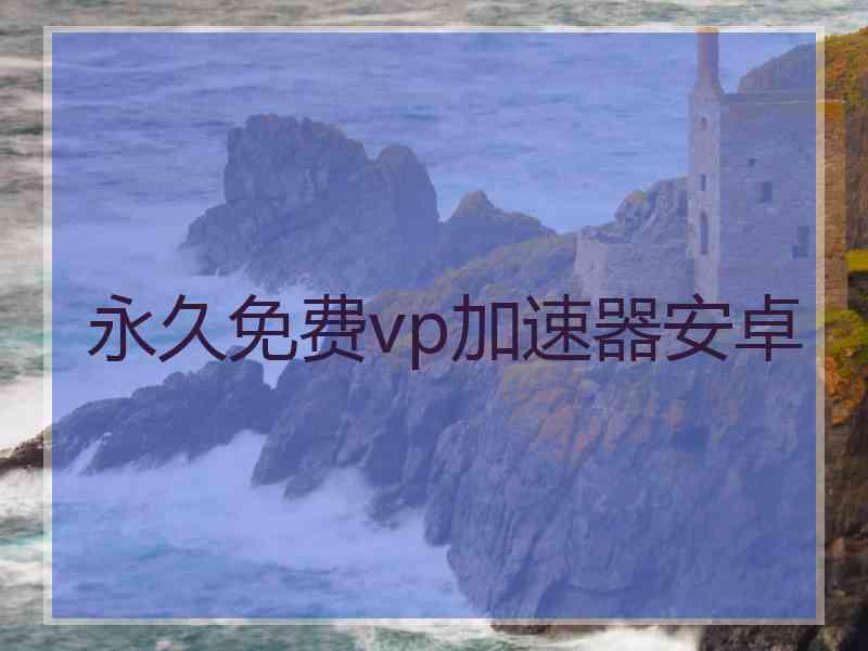 永久免费vp加速器安卓