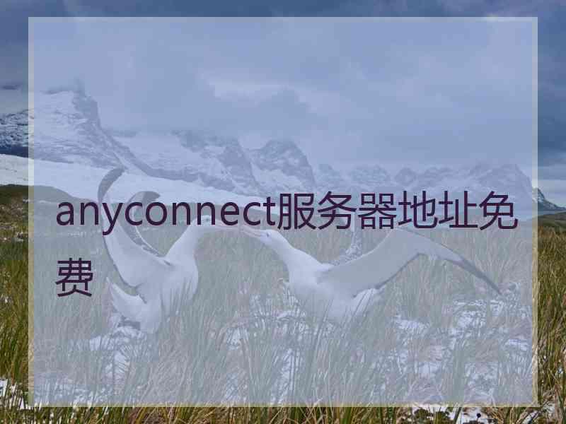 anyconnect服务器地址免费