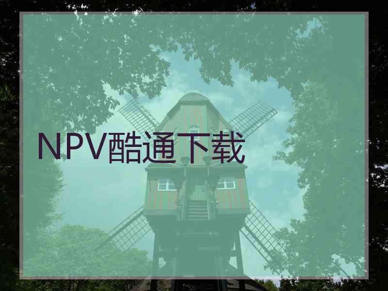 NPV酷通下载