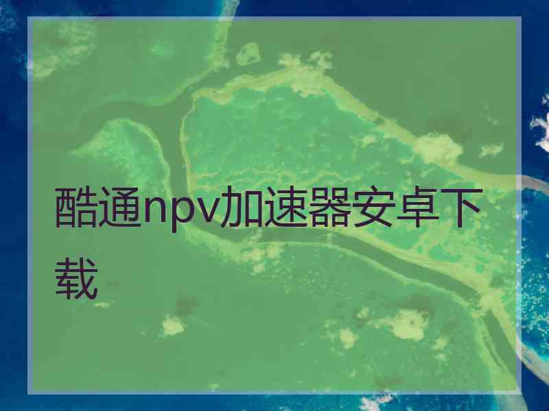 酷通npv加速器安卓下载