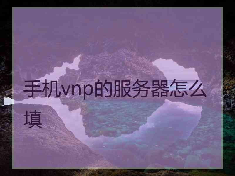 手机vnp的服务器怎么填