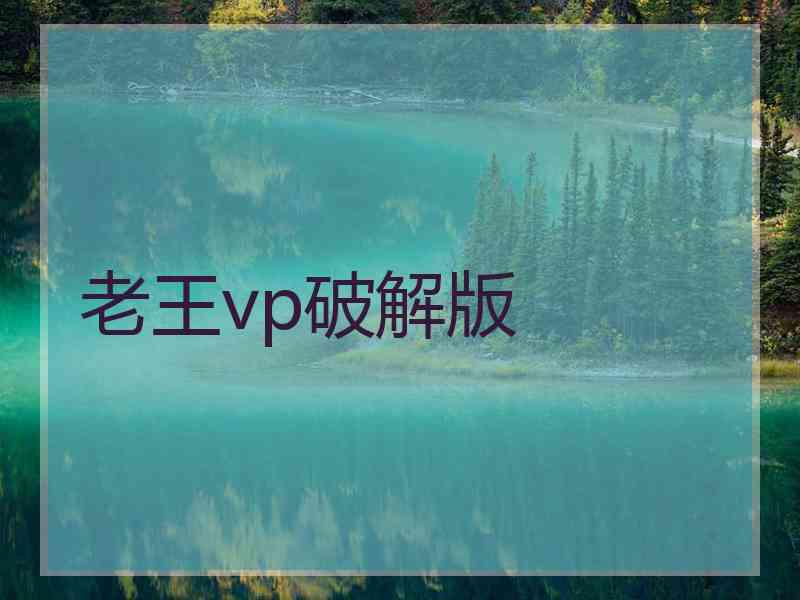 老王vp破解版