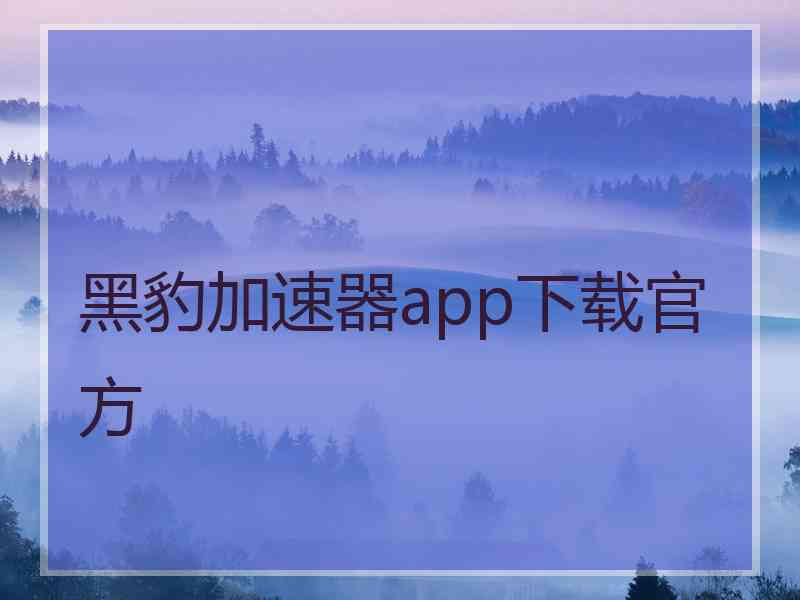 黑豹加速器app下载官方