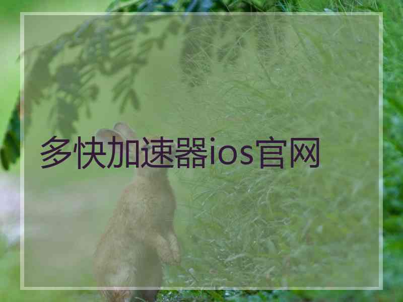 多快加速器ios官网