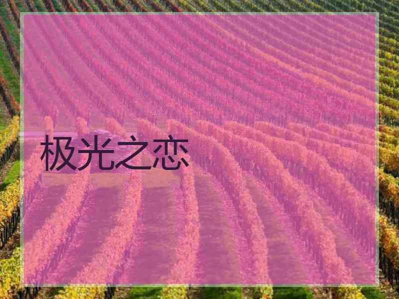 极光之恋