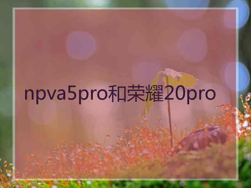 npva5pro和荣耀20pro