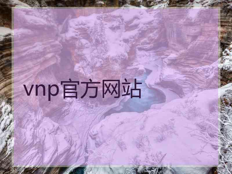 vnp官方网站