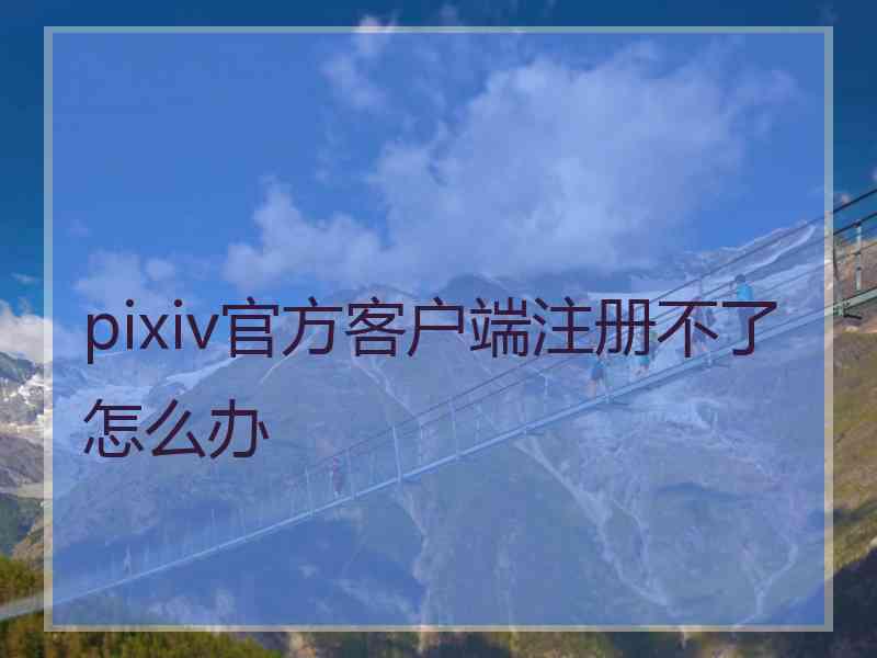 pixiv官方客户端注册不了怎么办