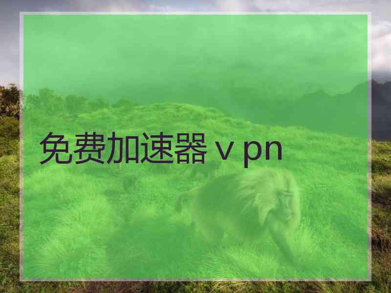 免费加速器ⅴpn