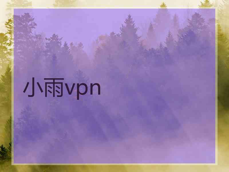 小雨vpn