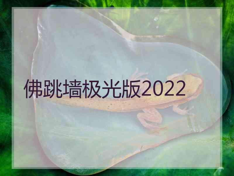 佛跳墙极光版2022