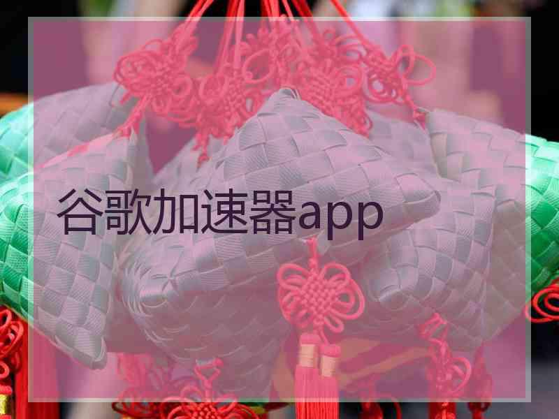 谷歌加速器app