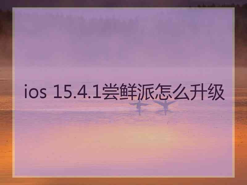 ios 15.4.1尝鲜派怎么升级